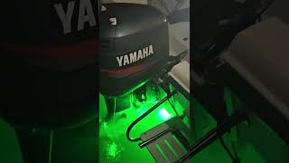 Underwater LEDs on the Boat [upl. by Lennox545]