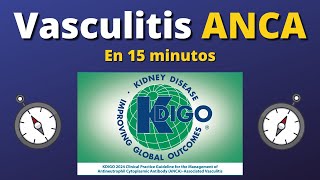 Lo que DEBES saber de Vasculitis ANCA  KDIGO 2024 AlDíaConLasGuías [upl. by Aoniak469]