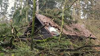 Schwere Schäden nach Sturm Friederike im Wald im Kreis Northeim [upl. by Aseeral145]