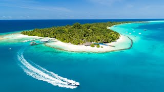 Kuramathi Maldives 2019 Updated [upl. by Nodnarbal43]