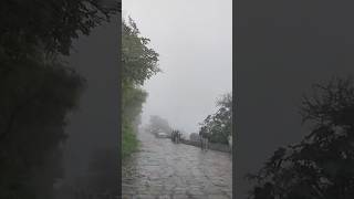 Mast mosam 🌧️🌧️  shorts  viral  trending  yt shorts  barish shorts  Pushpa [upl. by Aric]