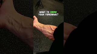 Wanna Grow your Forearms📈 fitnessshorts [upl. by Eive241]