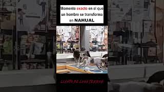 NAHUAL VUELVE A SU FORMA REAL 🟥 nahual miedo paranormal terrorsobrenatural short shorts [upl. by Reivaxe]