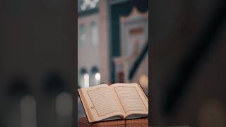 Quran Urdu translation firon story Musa alaihissalam ki firaun se mukabala quran musa facts [upl. by Tegdirb]