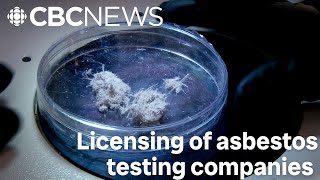 Tenant wants Manitoba to license asbestos testing companies [upl. by Boni]