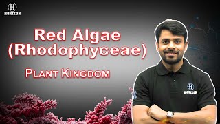 RhodoPhyceae  Class 11th  Biology  Ram sir  Horizon Academy [upl. by Hayila456]