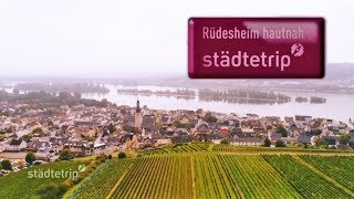 Rüdesheim hautnah  Der Städtetrip [upl. by Giselle]