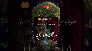 Hadees ki baatein inshallah knowledgefacts islamic whatsappstatus viralvideo viralshorts love [upl. by Ardussi]