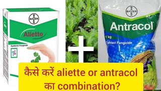 Aliette। Antracoal। Bayer। fungicide [upl. by Onairam]