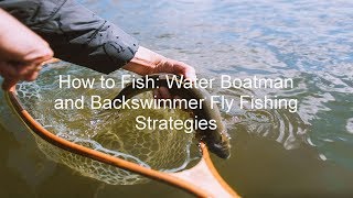 How to Fish Water Boatman and Backswimmer Fly Fishing Strategies  GoFishBC [upl. by Atinej]