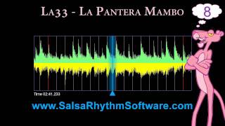 Salsa Timing  La Pantera Mambo HD [upl. by Daria79]