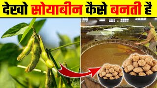 देखो सोयाबीन कैसे बनती है  Soyabean Kaise Banti Hai  How Soyabean Bari is Made in Factory [upl. by Veronique]