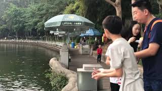 Qi Feng Park Dongguan China [upl. by Selway253]