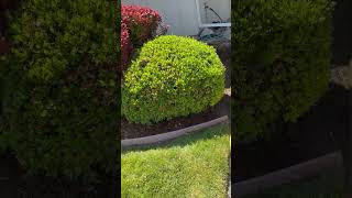 Pressure Washing Driveway construction housecleaning birdproofing [upl. by Bray467]