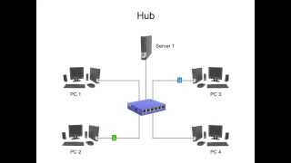 The Difference Between Hubs Bridges Switches and Gateways Backbones [upl. by Hinch763]