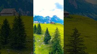 Switzerland 🇨🇭🥰🥰🥰❤️❤️❤️🔥🔥🔥switzerland alps nature mountains travelvlog europe [upl. by Maurie]