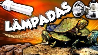 Lâmpadas para Tigre dágua [upl. by Anifad]