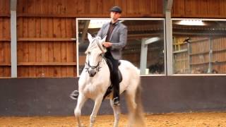 Marius Schneider demonstration Stal de Maesberg Arnhem [upl. by Aiveneg]