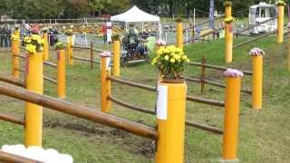 HOLLE Martin HUN WCH Ponies Pau 2013 Single Pony Marathon O 2 [upl. by Layol69]