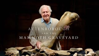 Attenborough and the Mammoth Graveyard [upl. by Lyrem384]