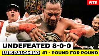 Explosive Knockouts and Unmatched Dominance The Rise of Luis Palomino in BKFC poundforpound [upl. by Laval498]