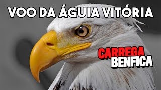 Voo da Águia Vitória no Benfica vs Porto [upl. by Redmer]