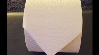 Toilettenpapier Origami falten Toilegami Spitze [upl. by Yetnom448]