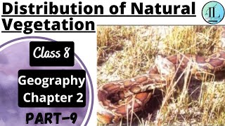 Distribution of Natural Vegetation  Class 8 Geography Chapter 2 NCERT Internet Learning [upl. by Sigismondo154]