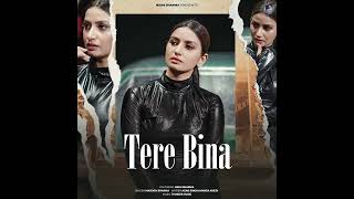 Tere Bina Official Video and Audio Masoom Sharma ft Nidhi Sharma MasoomSharma [upl. by Anialeh594]