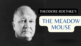 Summary of Theodore Roethkes poem quotThe Meadow Mousequot [upl. by Enitsuj]