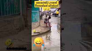 හොරෙක් ට වුනත් විපතක්නේ වුනේ 🤣🤣viralvideo youtubeshorts comedy shorts [upl. by Rodriguez145]