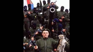 Serb Patriot Music  Arkans Tigers [upl. by Dabbs]