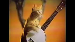 Little Friskies Cat Food 1970s Commercial [upl. by Amasa]