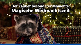 Der Zauber besonderer Momente  Magische Weihnachtszeit  Lidl lohnt sich [upl. by Biancha]