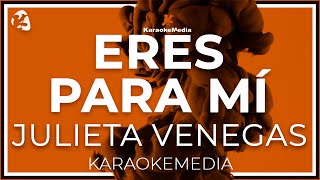 Julieta Venegas  Eres Para Mi  INSTRUMENTAL KARAOKE [upl. by Nbi]