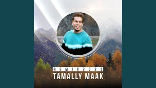 Tamally Maak Remix 2022 [upl. by Graybill]