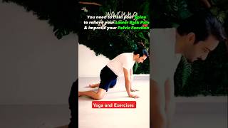 Yoga and Exercises  Improve Pelvic Function 🧘‍♂️✅💯trending shorts viral exercise yoga yt [upl. by Garwin]