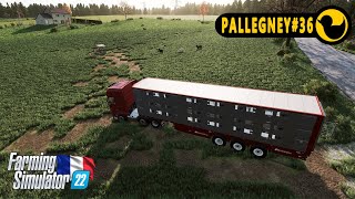 STARTING WOOL PRODUCTIONPALLEGNEY36FARMING SIMULATOR 22GAMEPLAYTIMELAPSENO COMMENTARYFS 22 [upl. by Leksehc]