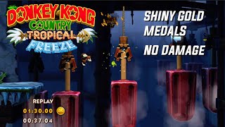 Donkey Kong Country TF  World 5 SHINY GOLD MEDALS  NO DAMAGE [upl. by Stier671]