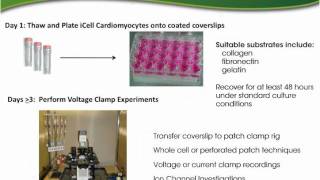 Large Scale Production of iPS Cell Derived Cardiomyocytes [upl. by Eppesiug]