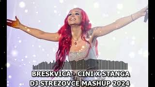 BRESKVICA  CINI X STANGA DJ STREZOVCE MASHUP 2024 [upl. by Eico]