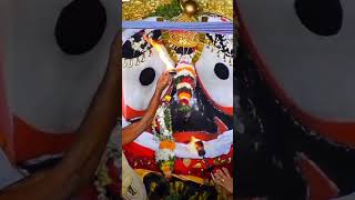 Biswanath Jay jagarnnath prabhu 🙏🙏youtubeshorts god viralvideo shots trending [upl. by Erialc348]