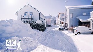 3 Hours of Beautiful Snow Walks in Finland  Slow TV 4K [upl. by Annel]