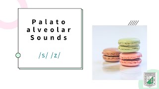 palatoalveolar sounds phonemes s amp z [upl. by Attegroeg518]