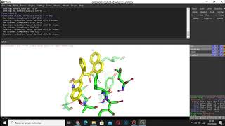 PyMOL Active Sites in Minutes [upl. by Ardle]