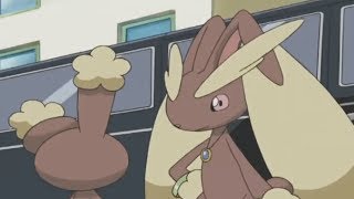 Buneary amp Lopunny AMV  SL U T Thanks for 1k subs [upl. by Blancha907]