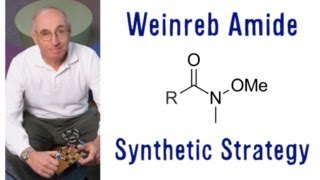 What IS the Weinreb Amide [upl. by Hainahpez]