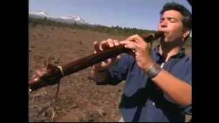 Play the Trees An Introduction to the Native American Style Flute by Ward Jene Stroud [upl. by Koenraad888]