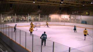 Oak Bay Rec Hockey Nov 2011 HD [upl. by Enautna]