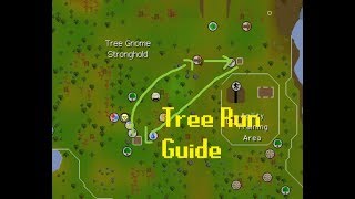 Farming Guide Tree Run Route OSRS [upl. by Felton972]